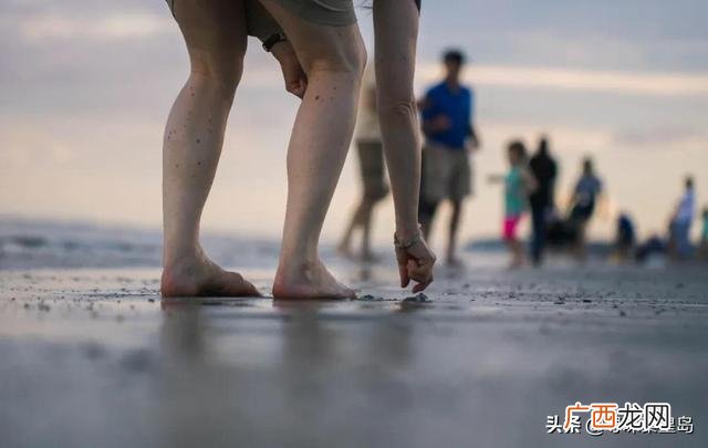 小囿赶海记,小杰赶海记