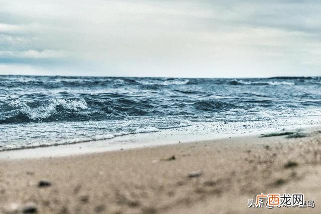 小囿赶海记,小杰赶海记