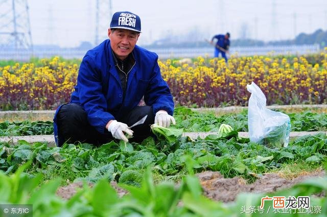 加盟养殖业,大东养殖记