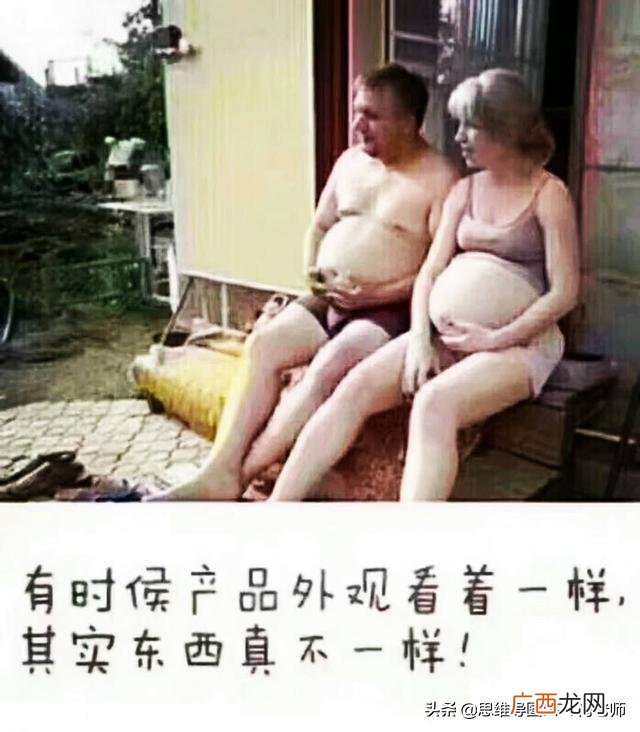 思维导图自我介绍全图 个人简历四维导图