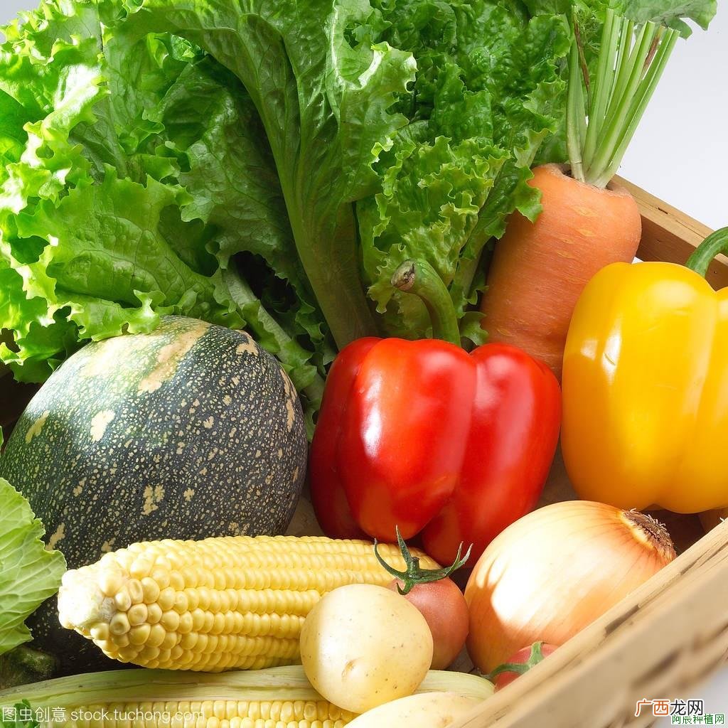 秋冬季花卉的管理？如何防治？