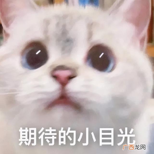 大学生创业基金 大学生创新创业中心网站