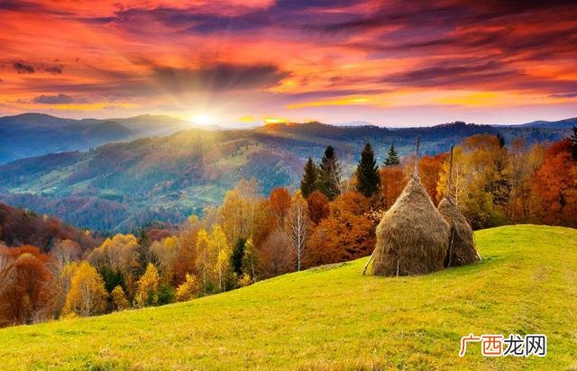 生意失败负债累累怎么办,创业失败负债累累怎么办