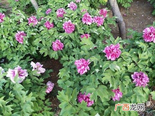 形容受折磨的句子,折磨人的句子