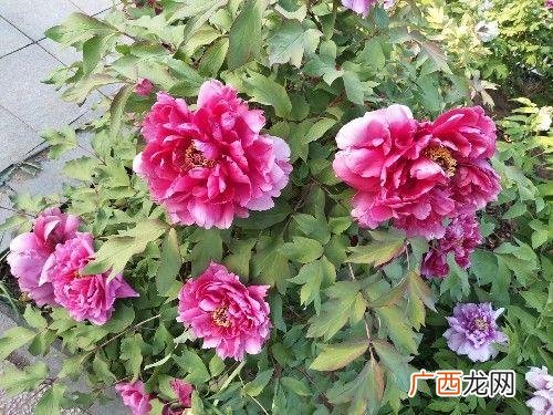 形容受折磨的句子,折磨人的句子