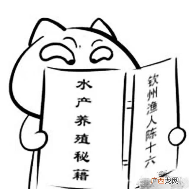 养鱼创业计划书,关于鱼的创业方向
