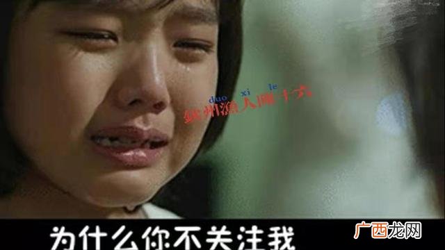 养鱼创业计划书,关于鱼的创业方向