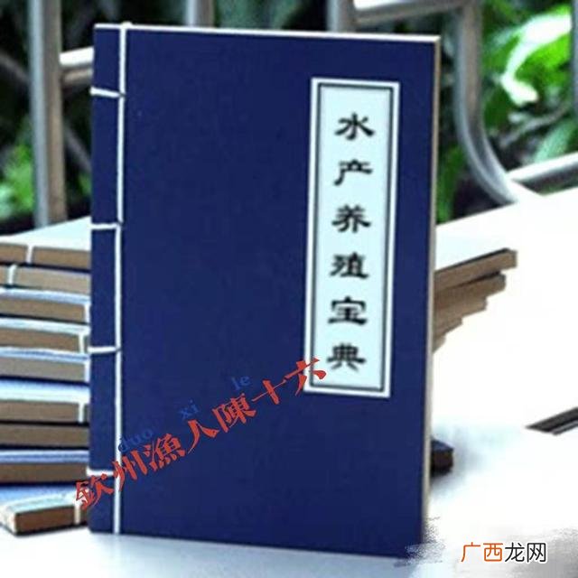 养鱼创业计划书,关于鱼的创业方向