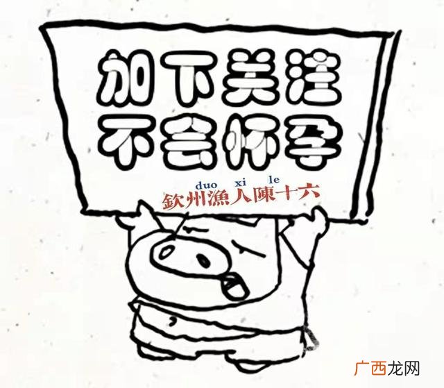 养鱼创业计划书,关于鱼的创业方向