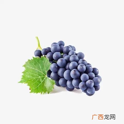 热量低又顶饿的零食 0脂肪零食