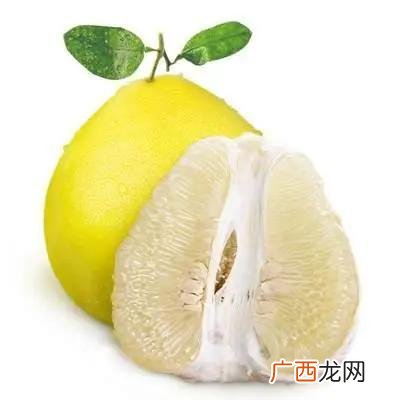 热量低又顶饿的零食 0脂肪零食