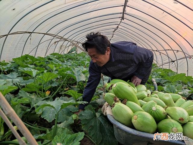 创业小项目,80万创业做什么