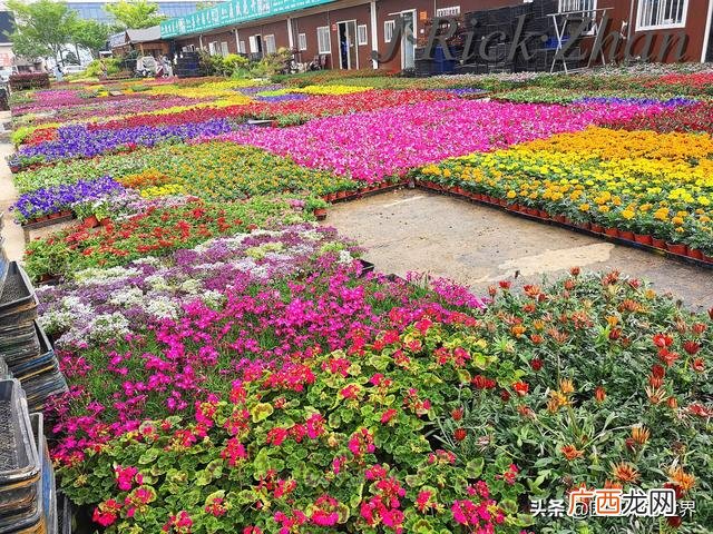 农作物植保员证怎么报名考试,园林园艺师证