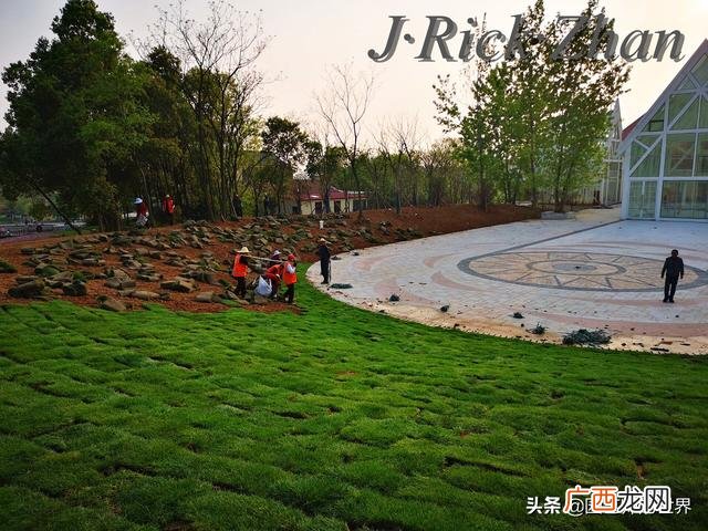 农作物植保员证怎么报名考试,园林园艺师证