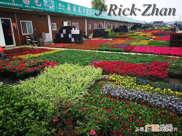 农作物植保员证怎么报名考试,园林园艺师证
