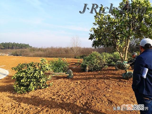 农作物植保员证怎么报名考试,园林园艺师证