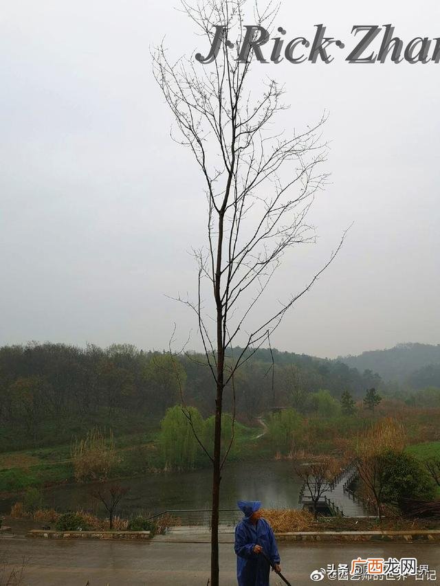 农作物植保员证怎么报名考试,园林园艺师证