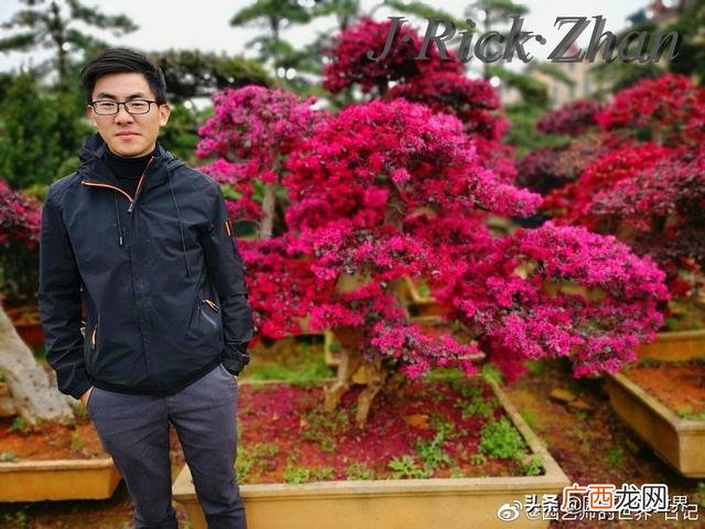 农作物植保员证怎么报名考试,园林园艺师证