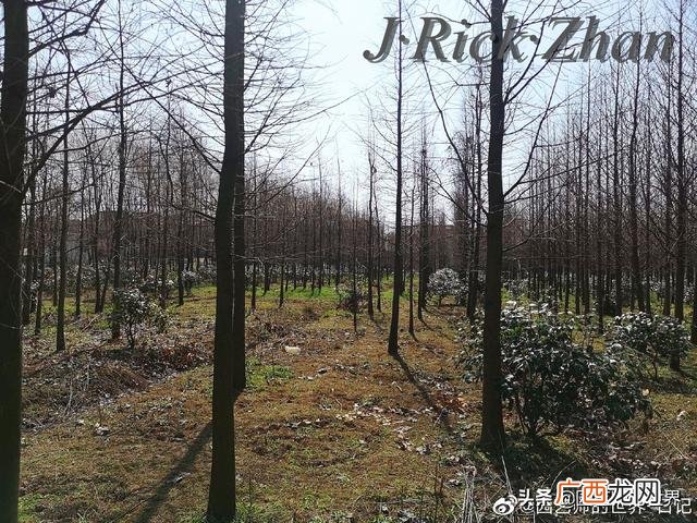 农作物植保员证怎么报名考试,园林园艺师证