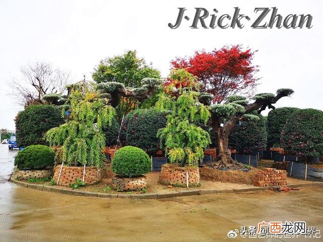 农作物植保员证怎么报名考试,园林园艺师证