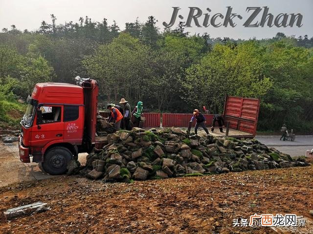 农作物植保员证怎么报名考试,园林园艺师证