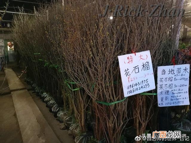 农作物植保员证怎么报名考试,园林园艺师证