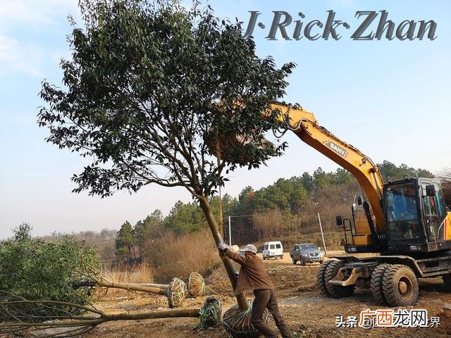 农作物植保员证怎么报名考试,园林园艺师证