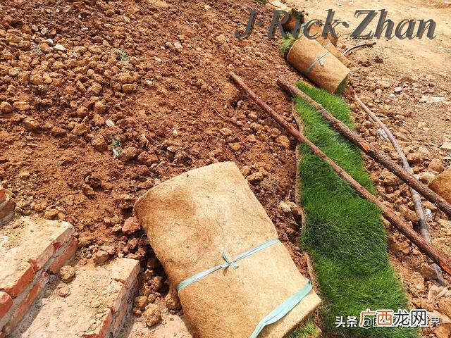 农作物植保员证怎么报名考试,园林园艺师证