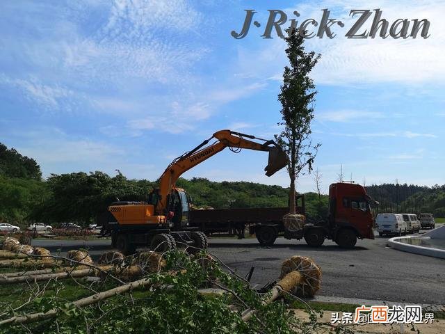农作物植保员证怎么报名考试,园林园艺师证