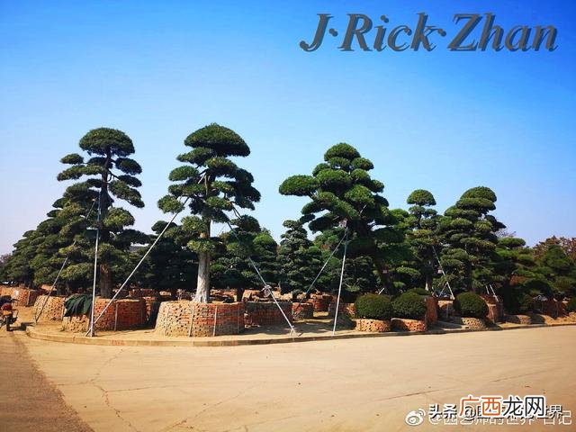 农作物植保员证怎么报名考试,园林园艺师证