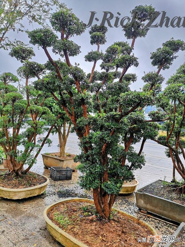 农作物植保员证怎么报名考试,园林园艺师证