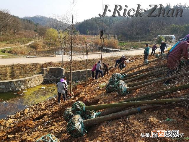 农作物植保员证怎么报名考试,园林园艺师证