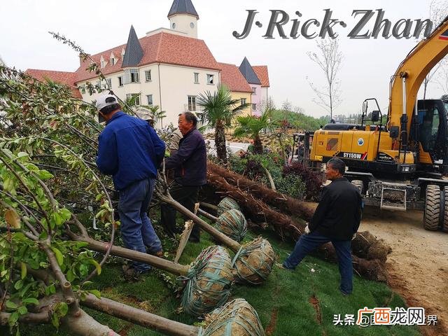 农作物植保员证怎么报名考试,园林园艺师证