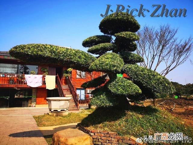 农作物植保员证怎么报名考试,园林园艺师证