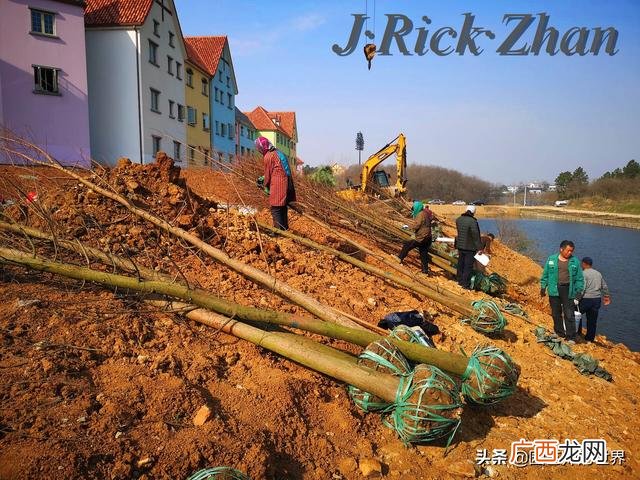 农作物植保员证怎么报名考试,园林园艺师证