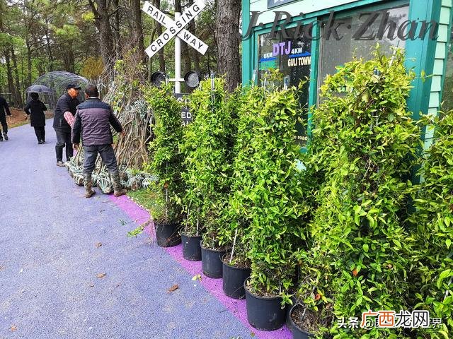 农作物植保员证怎么报名考试,园林园艺师证
