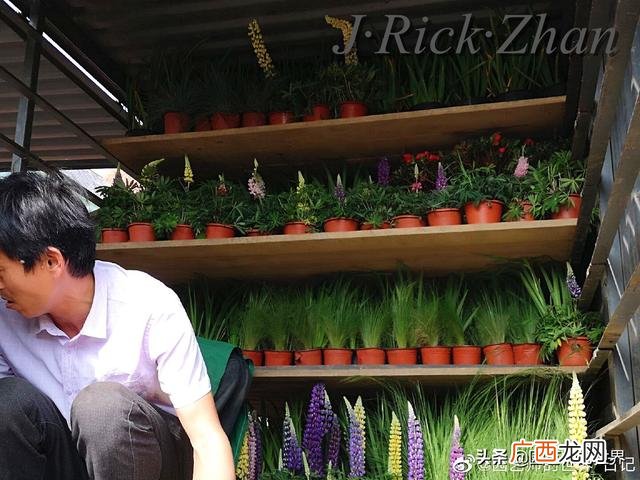 农作物植保员证怎么报名考试,园林园艺师证