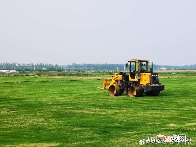 农作物植保员证怎么报名考试,园林园艺师证