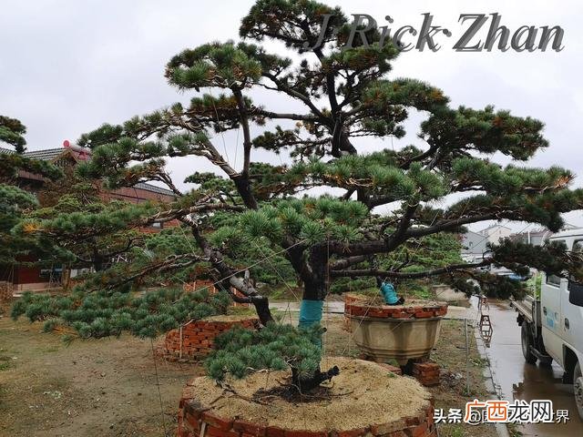 农作物植保员证怎么报名考试,园林园艺师证