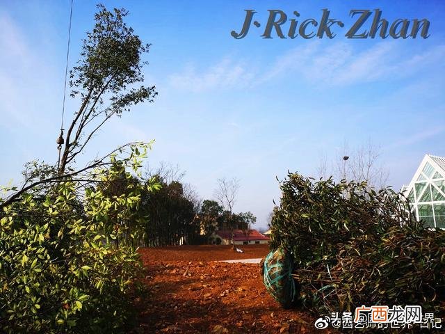 农作物植保员证怎么报名考试,园林园艺师证