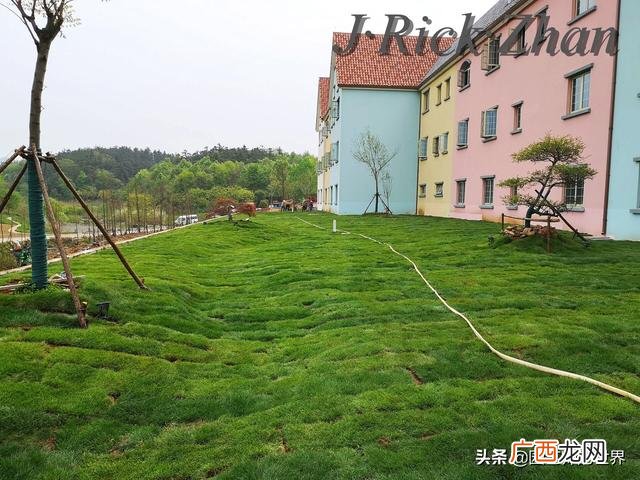 农作物植保员证怎么报名考试,园林园艺师证