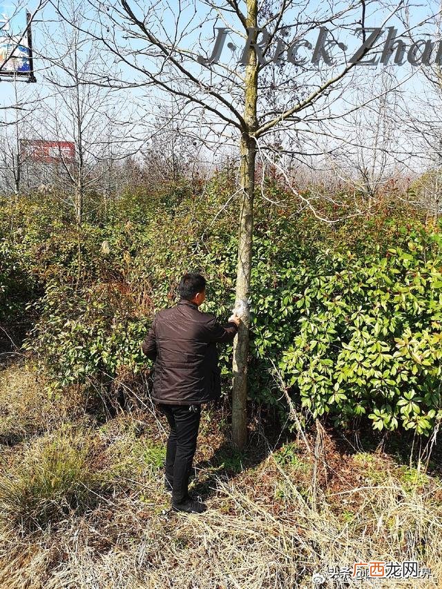 农作物植保员证怎么报名考试,园林园艺师证
