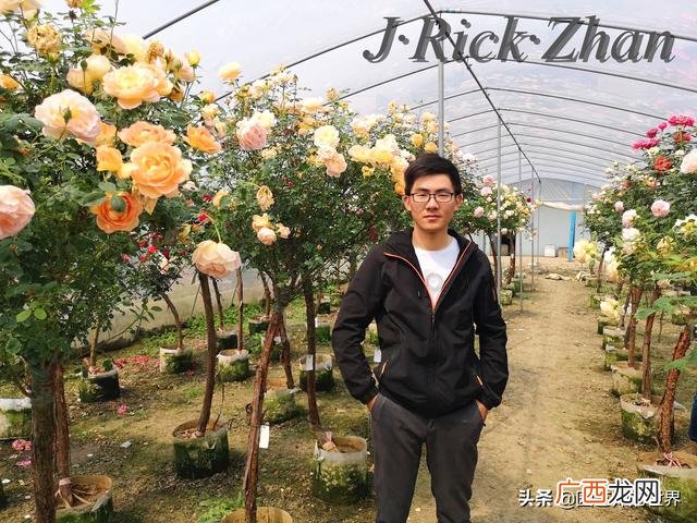 农作物植保员证怎么报名考试,园林园艺师证