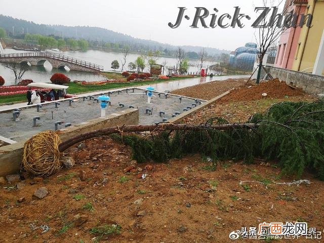 农作物植保员证怎么报名考试,园林园艺师证