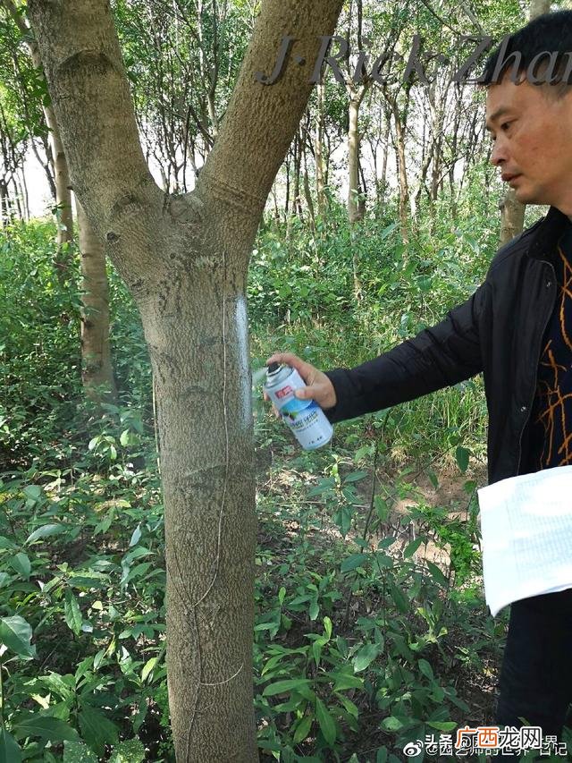 农作物植保员证怎么报名考试,园林园艺师证