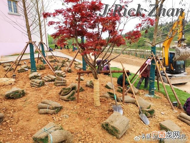 农作物植保员证怎么报名考试,园林园艺师证