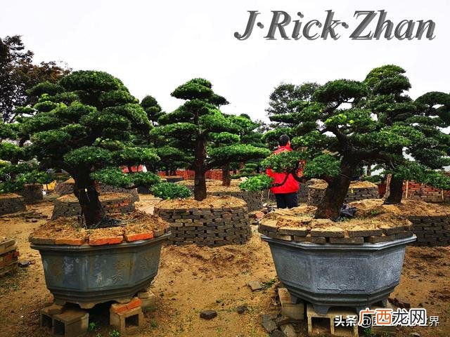 农作物植保员证怎么报名考试,园林园艺师证