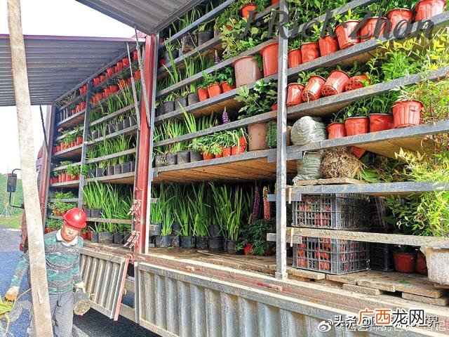 农作物植保员证怎么报名考试,园林园艺师证