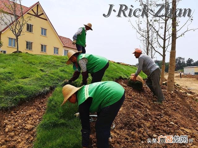 农作物植保员证怎么报名考试,园林园艺师证