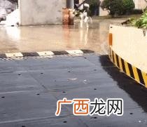 云养狗 云养猫狗